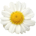 3f21badf81cab7e9df9340d49a8a5bc7