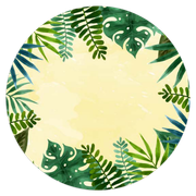 2102560-Safari-Ana