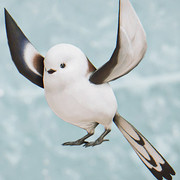 Silver-Dasher-3
