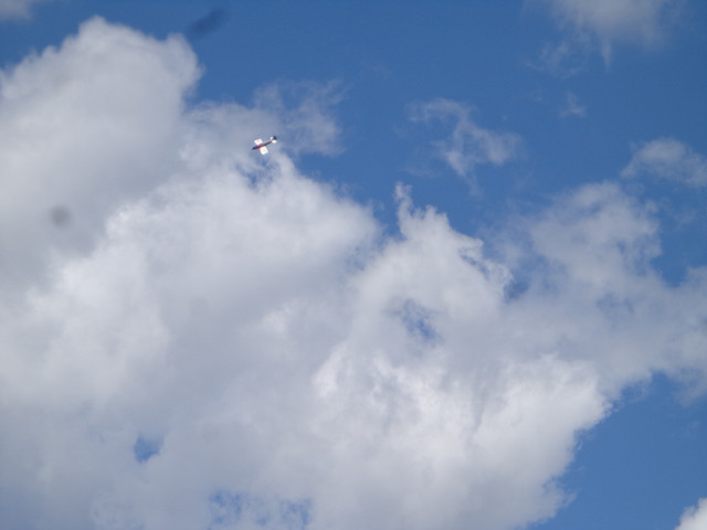 DSC00515.jpg