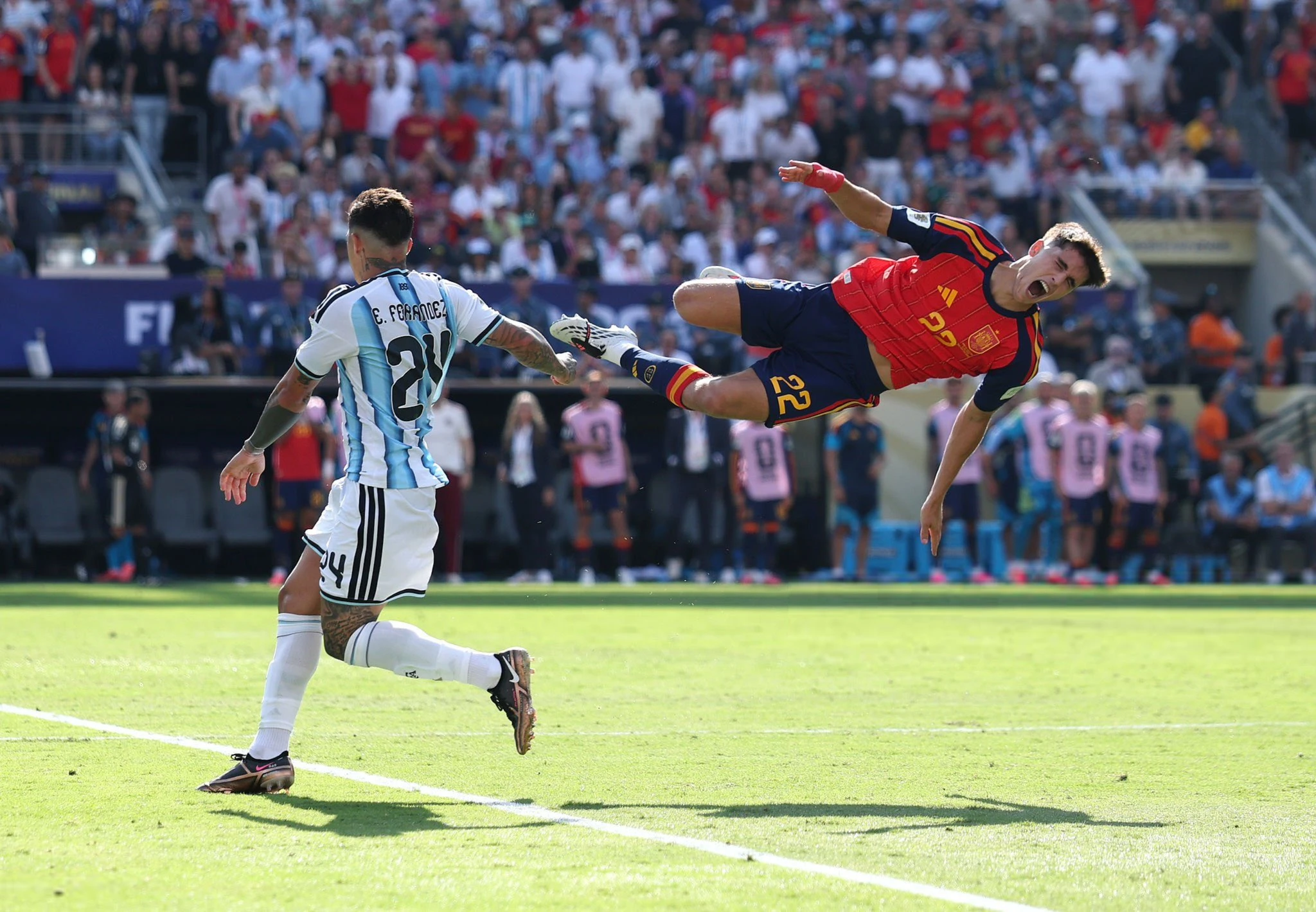 Enzo Fernandez Picture