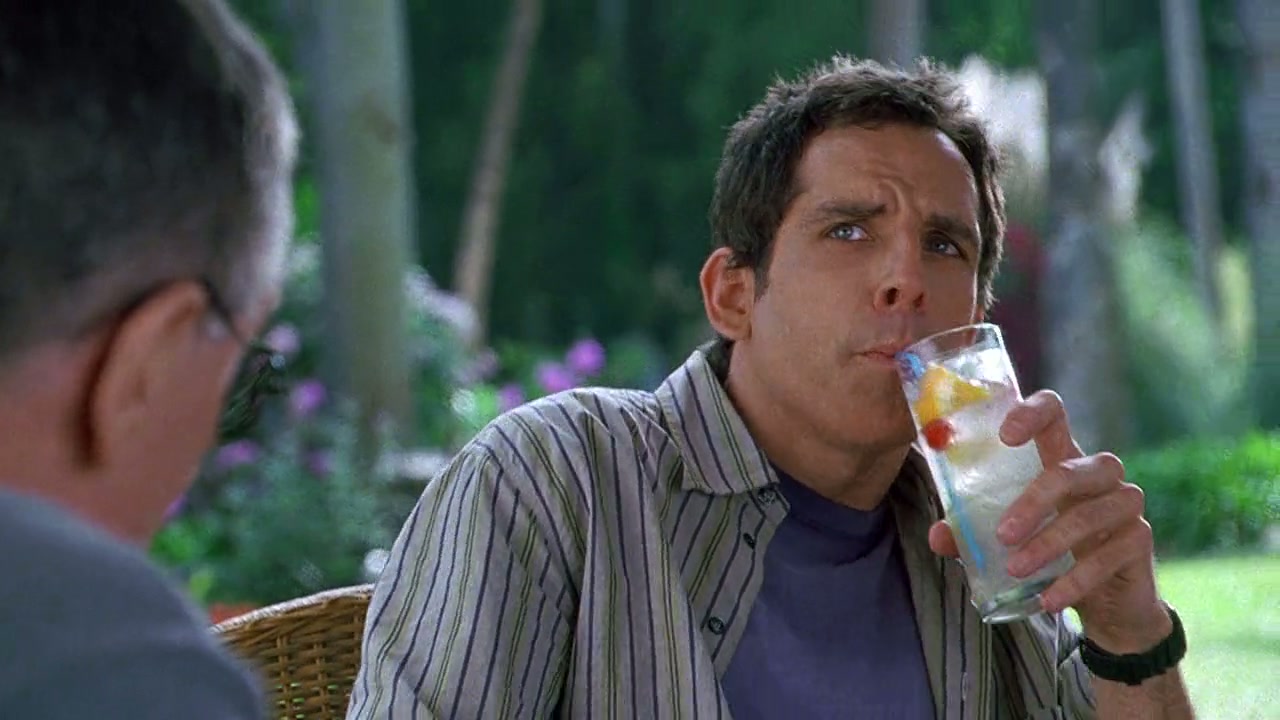 Meet the Fockers Screenshot