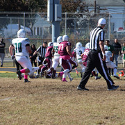 IMG-3559