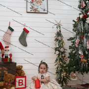 IMG 4468