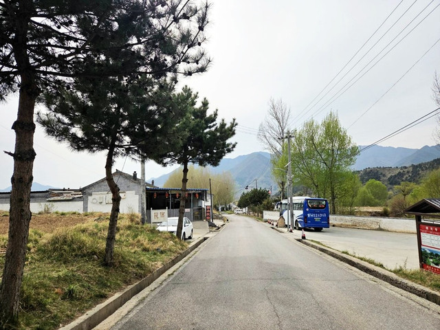 116.jpg