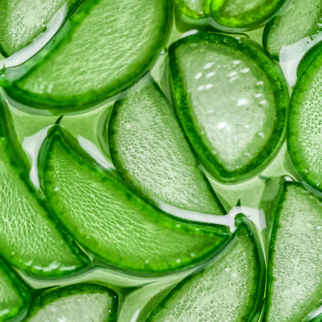 aloe vera.png