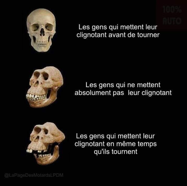 https://i.ibb.co/B2mY5Yb/clignos.jpg