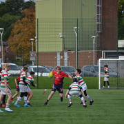 DSC-0729