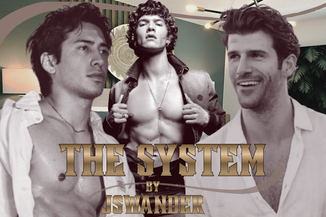 THE SYSTEM by Jswander