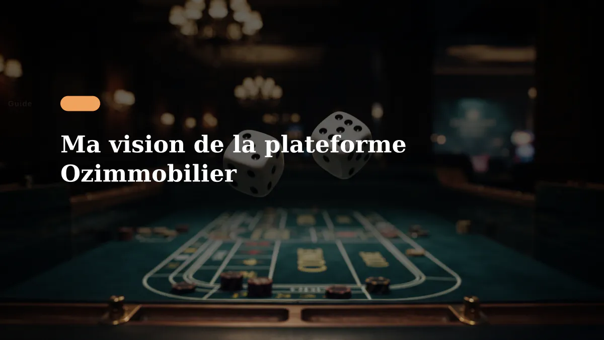 Ma vision de la plateforme Ozimmobilier