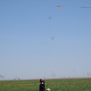 DSC00235