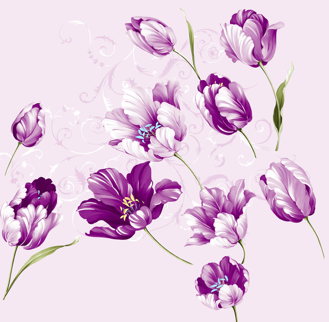 shutterstock 1305661972.jpg
