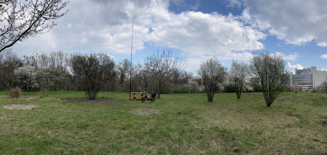IMG-8721.jpg