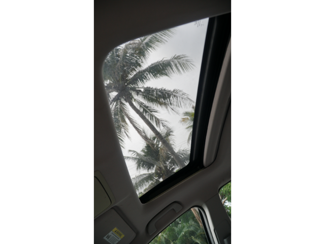 DSC09695.png