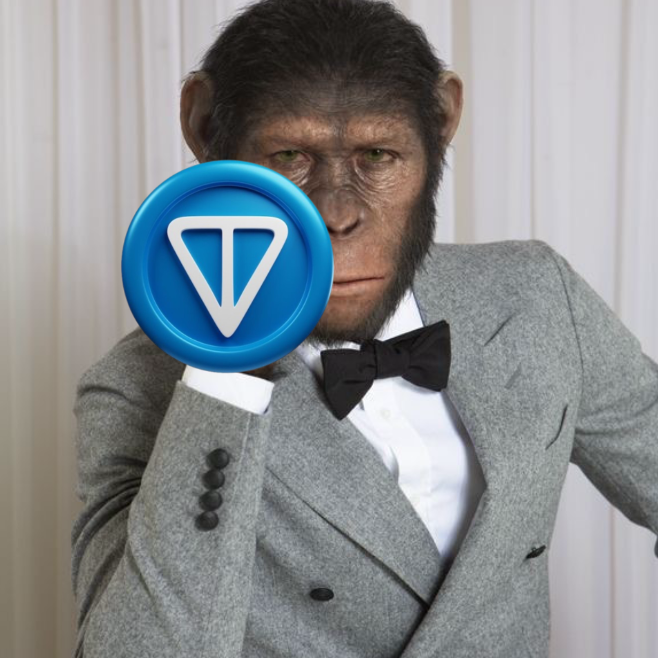 Ton Monkey 