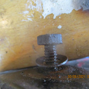IMG-5600