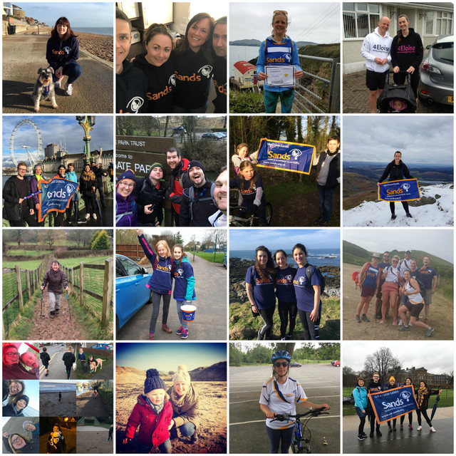 C15-Collage.jpg