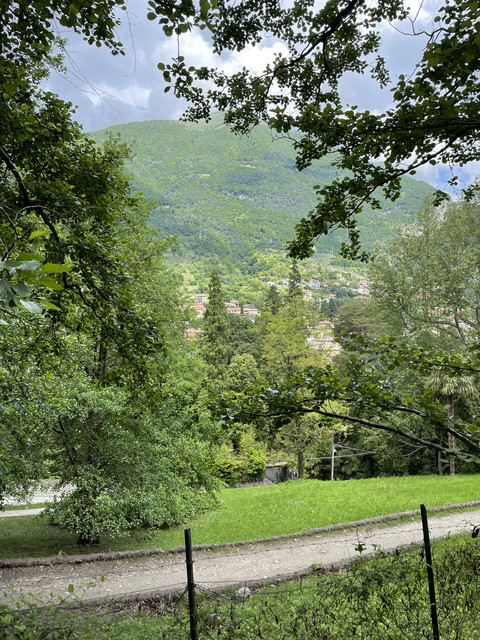 IMG-0508