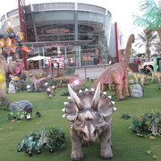 IMG-7195