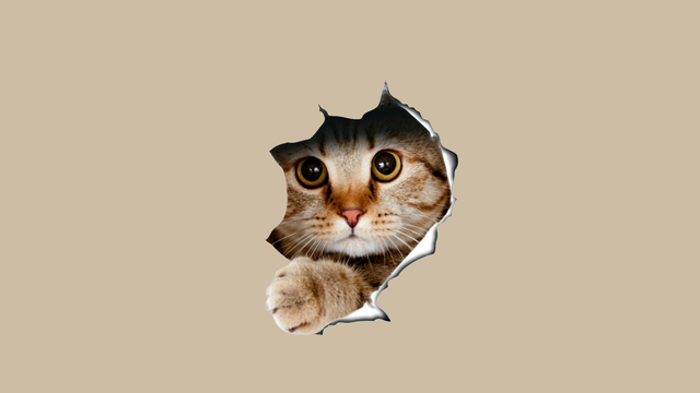n-Untitled-1.png