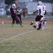IMG-7374