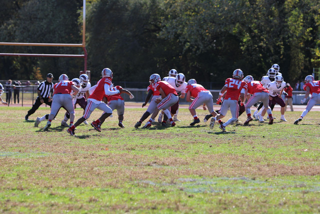 IMG-0768.jpg
