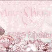 Salsa-Xmas20-2500-vi