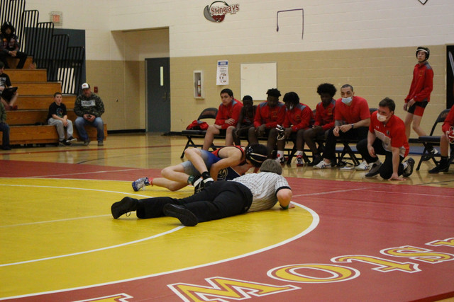 IMG-0535