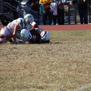 IMG-4153