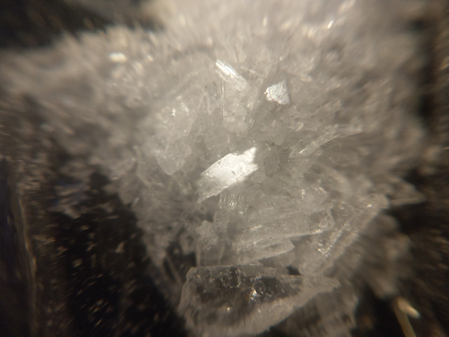 IMAG0020