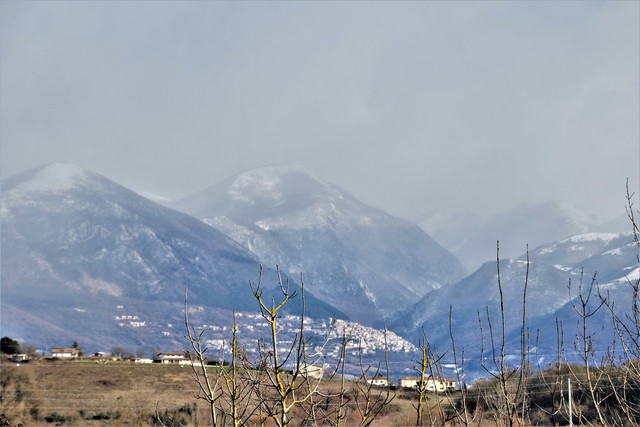 DSCF7538-2