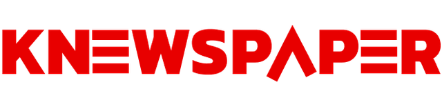 KNEWSPAPER logo