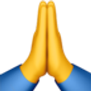 folded-hands-1f64f