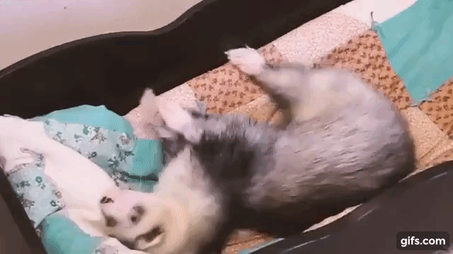 k2Vy3N.gif