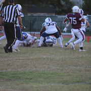 IMG-6654