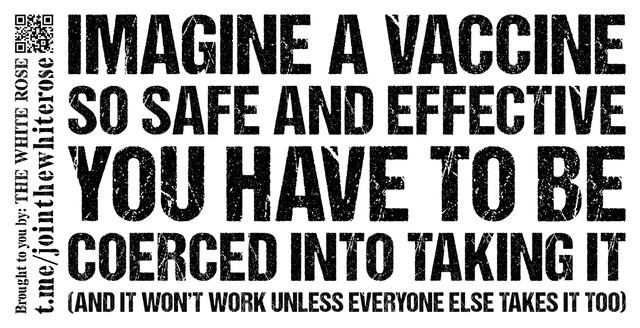 Imagine-AVaccine