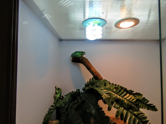 IMG-1463
