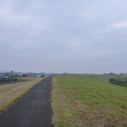 2020-10-04-252