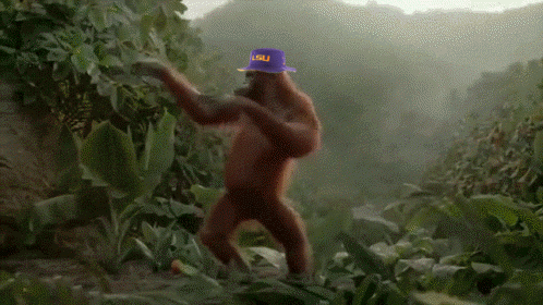 orgLSU2.gif