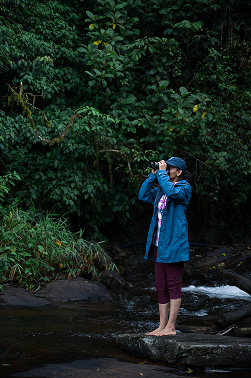 Person in forest