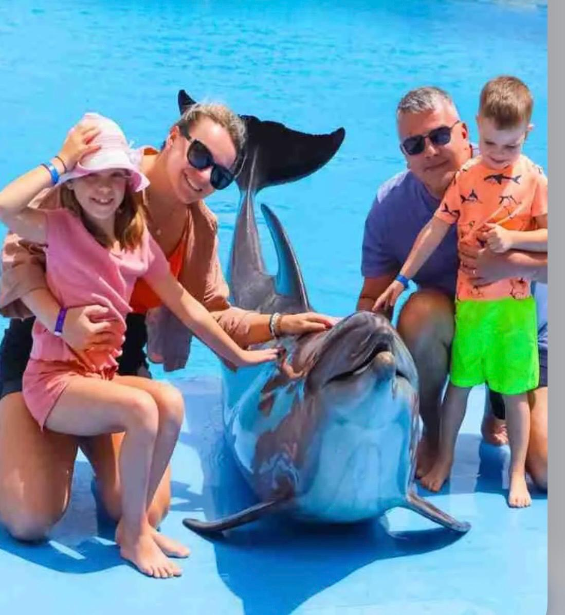 Dolphin Photo
