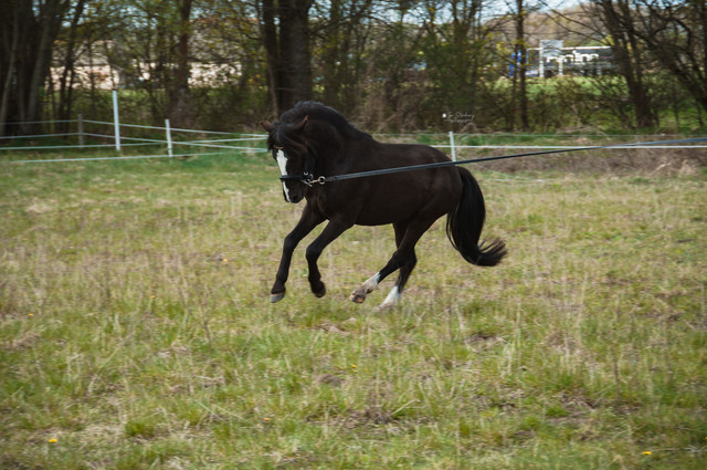 DSC01687.jpg