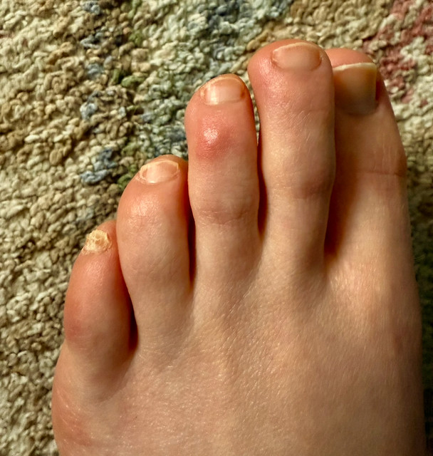 IMG 1795.jpg