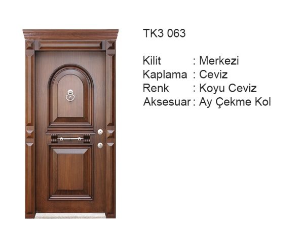 Steel door TK3 063