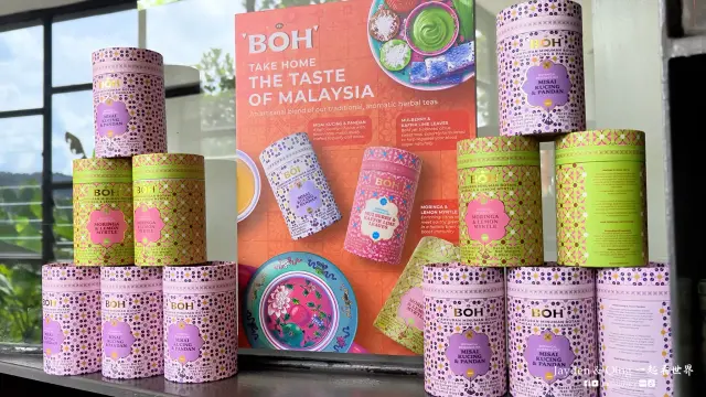 Boh11.webp
