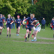 DSC 0200