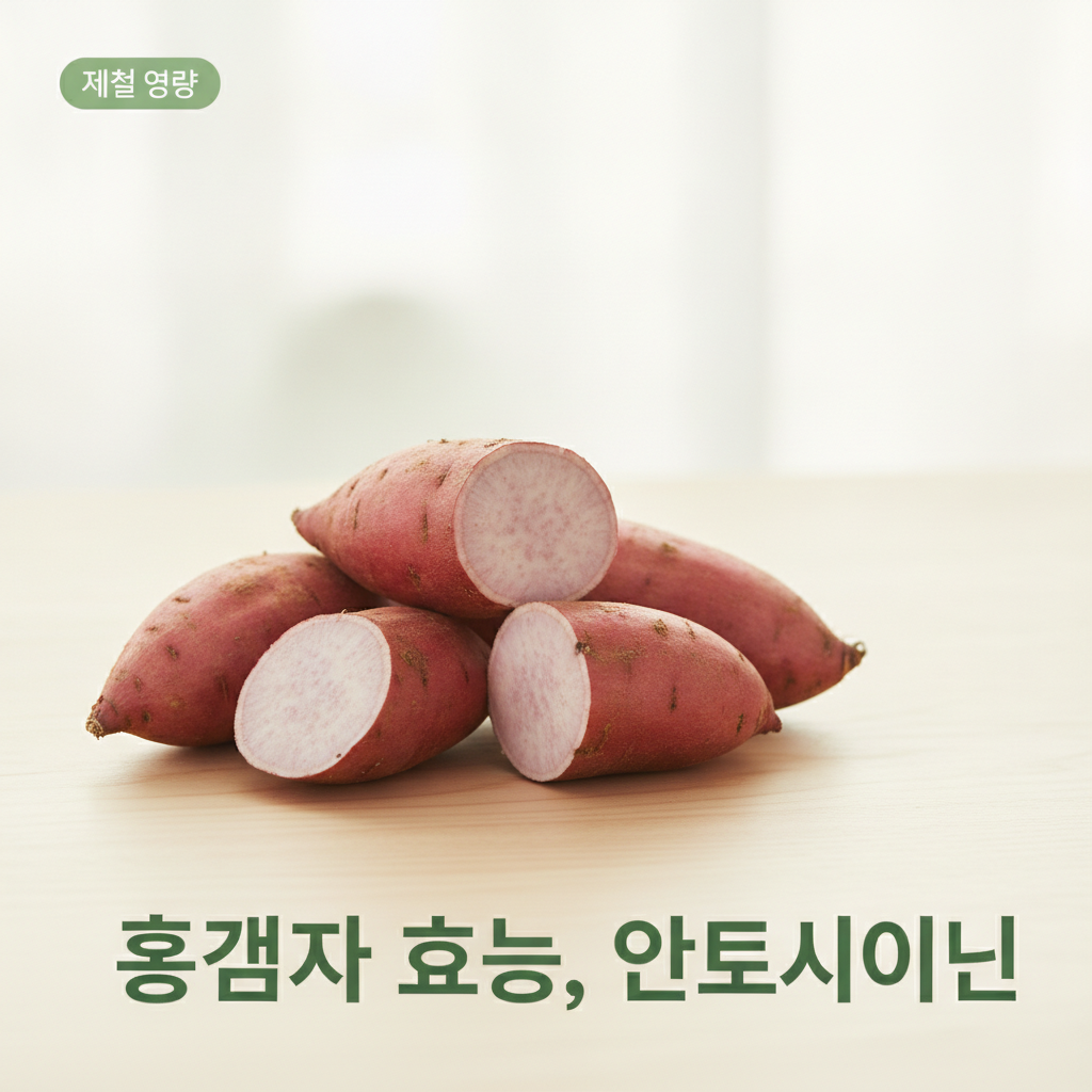 홍감자