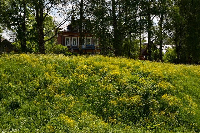 DSC9032.jpg