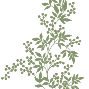 4ba5d83faccb0f1f05dce5c4b2c29b04