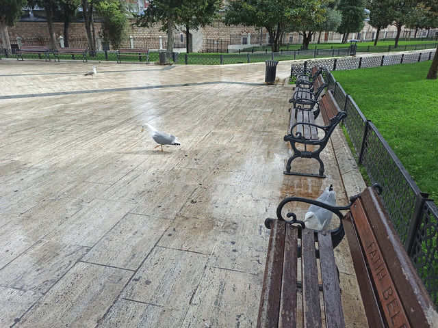 IMG 20261002 114440.jpg